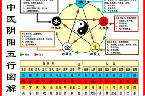 1984 五行|【1984年五行】揭曉！1984年五行屬什麼？鼠年的你五行命運大。